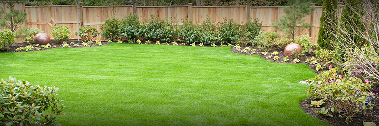 Water Garden Putting Green Installation Repairs Hamden Ct Water Gardens And Creative Landscaping