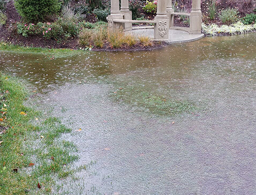 Rain Flooding Yard